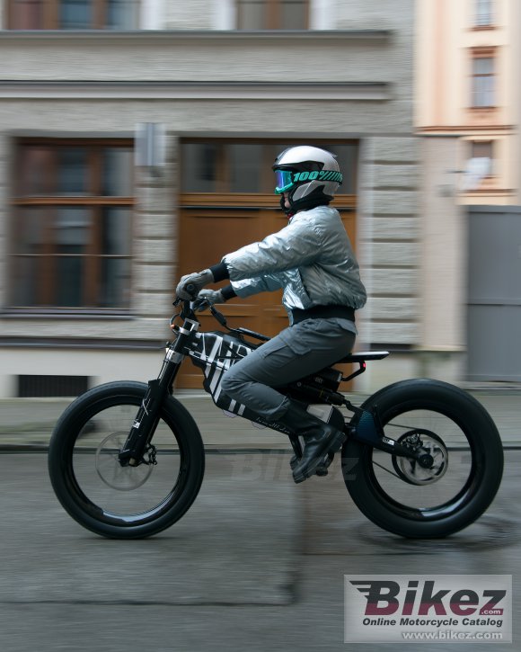 BMW Vision Amby gallery